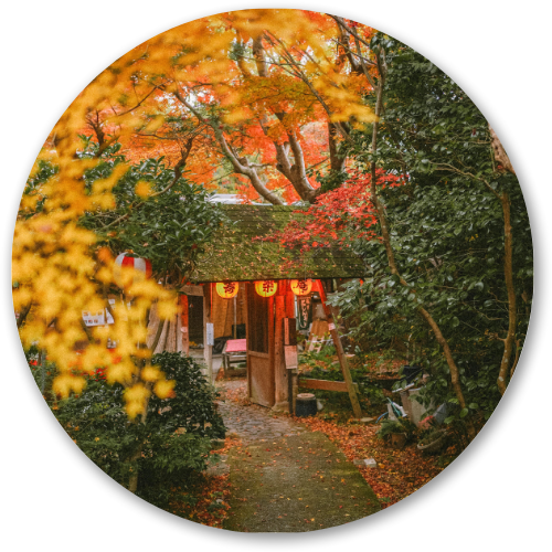 Cafe Lost among Woods printed wooden painting - 12 inch