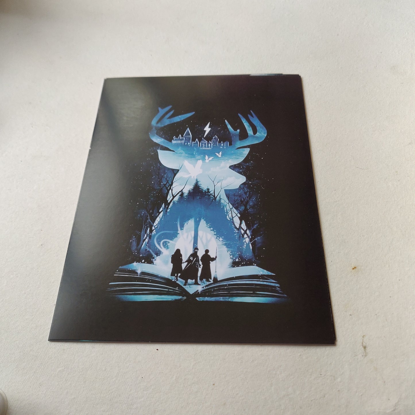 Harry Potter wall poster | Style 4