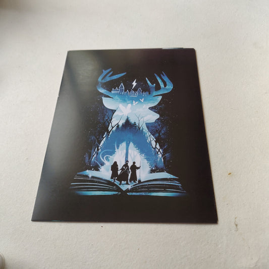 Harry Potter wall poster | Style 4