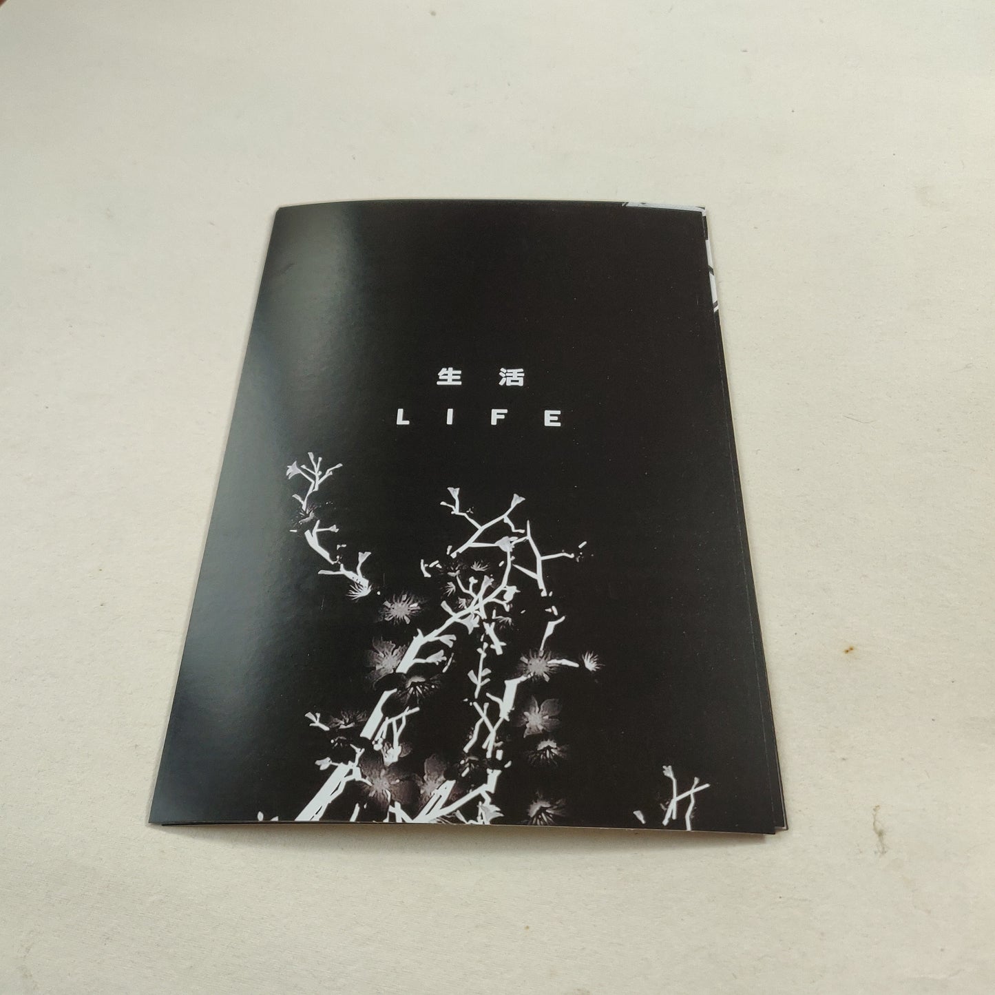 Black aesthetics wall poster combo of 10