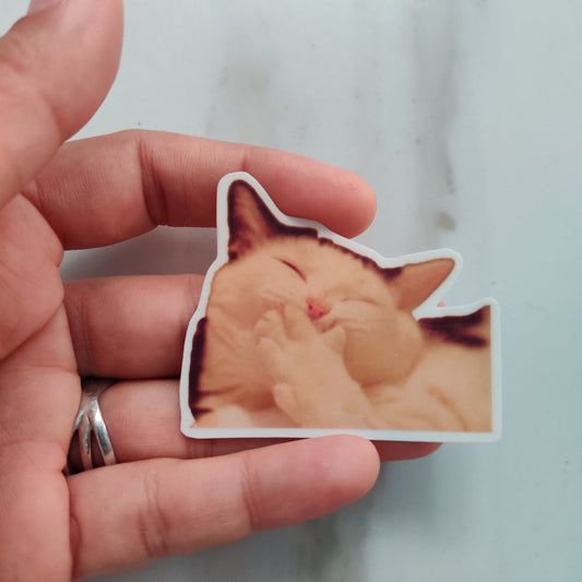 Smiling Cat Meme die-cut sticker