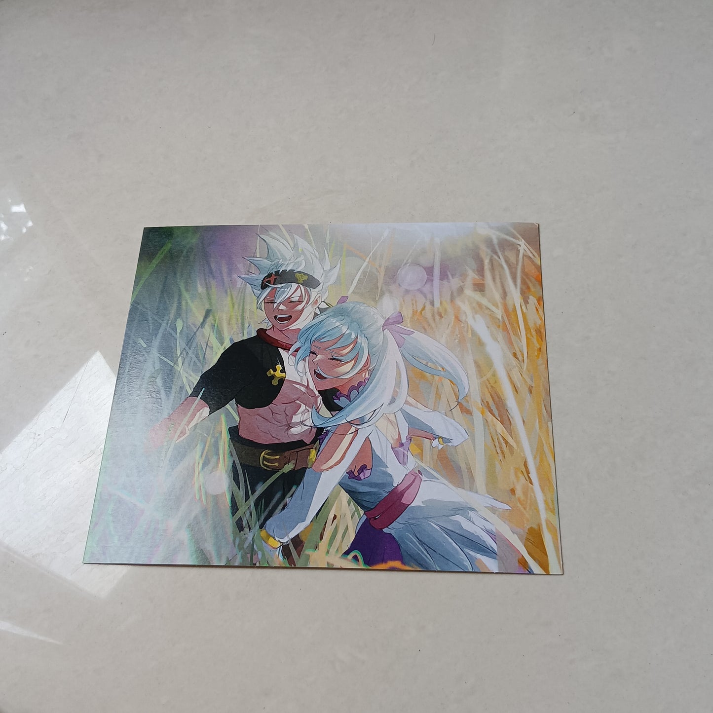 Asta and Noelle Black Clover wall poster combo of 2 A5