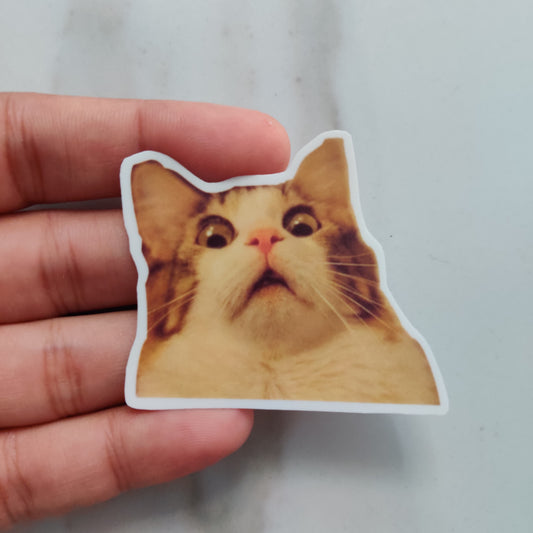 Shocked Cat Meme die-cut sticker