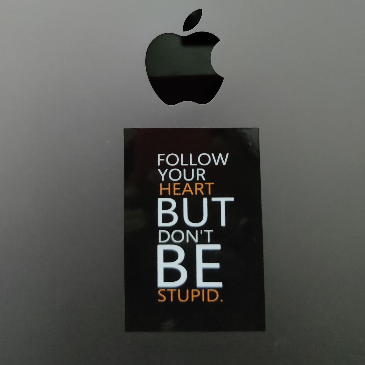 Don't be stupid basic sticker