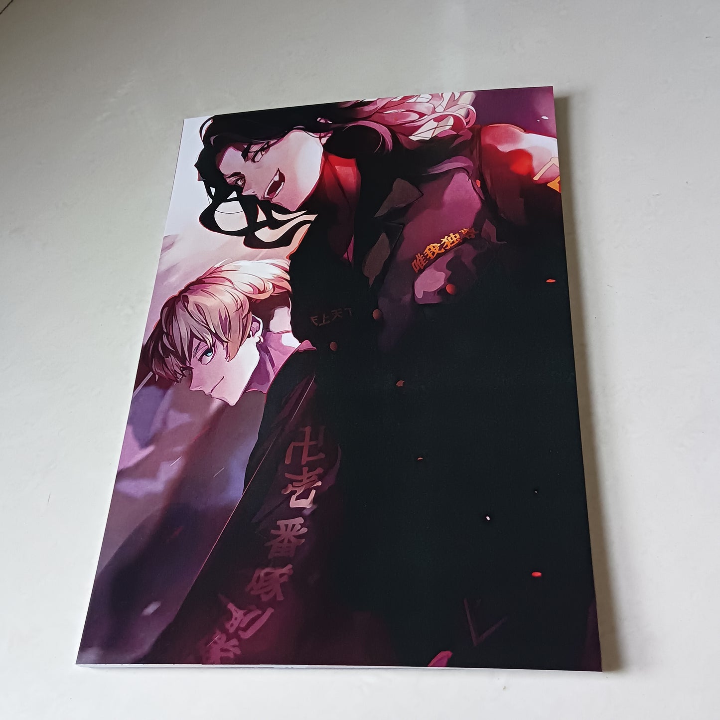 Chifuyu and Baji Tokyo Revengers wall poster