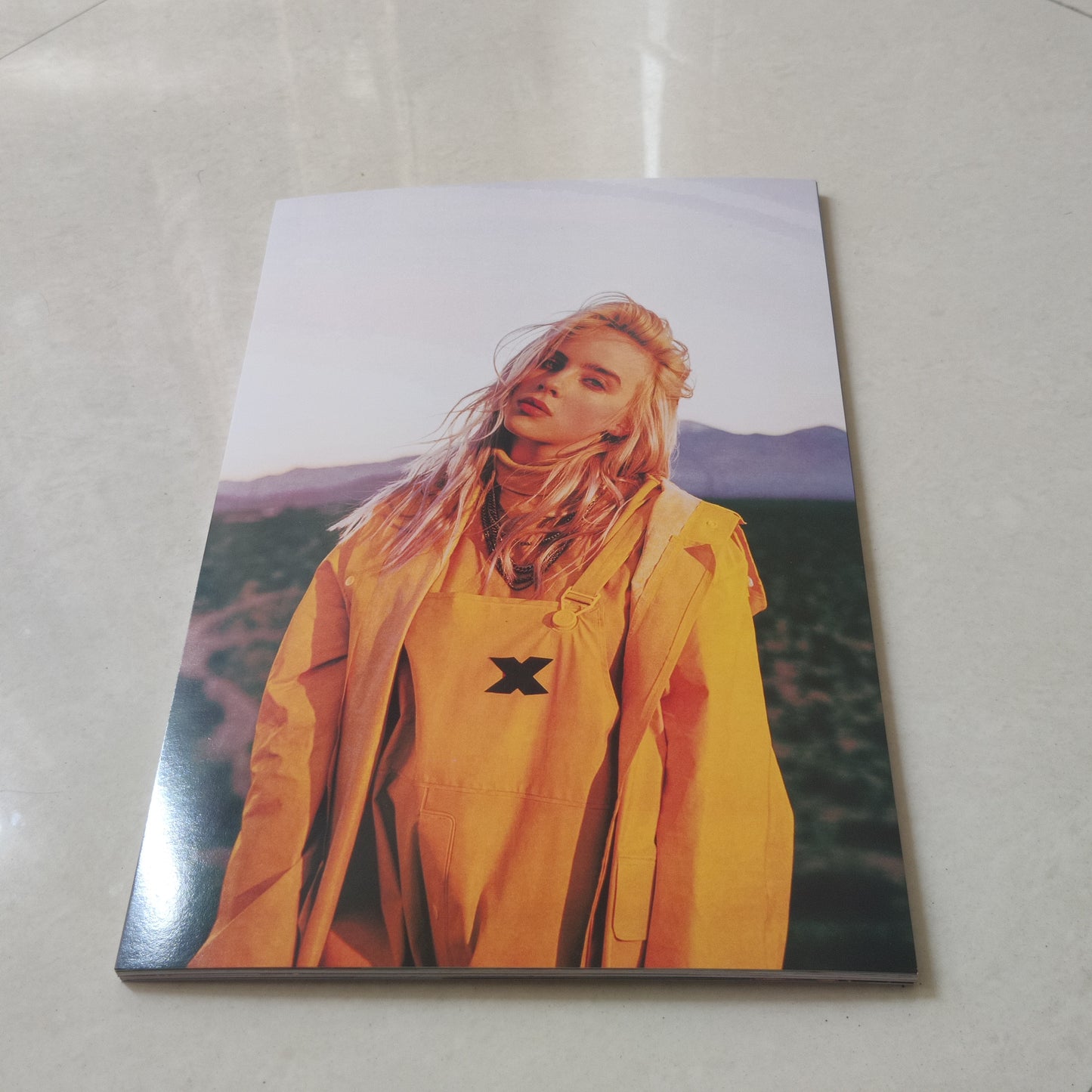Billie Eilish wall poster | Style 3