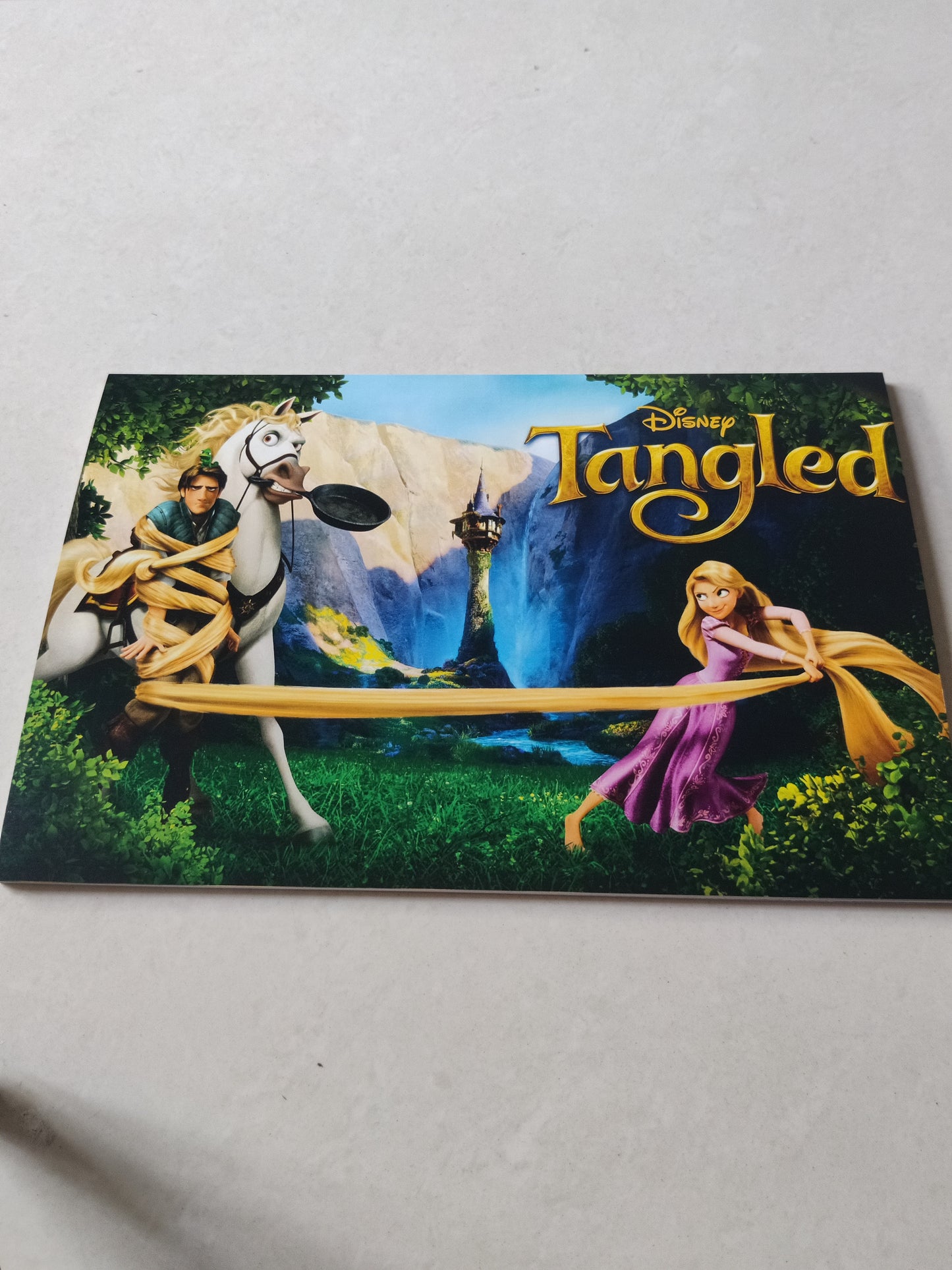 Tangled wall poster | Style 3
