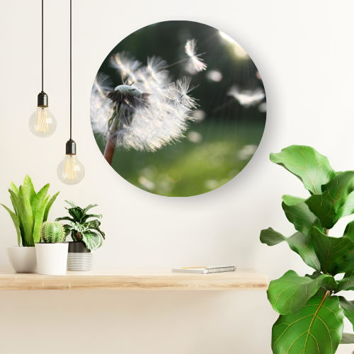 The Dandelion in Wind printed wooden painting - 12 inch