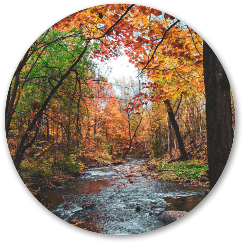 Autumn Forest Stream printed wooden painting - 12 inch