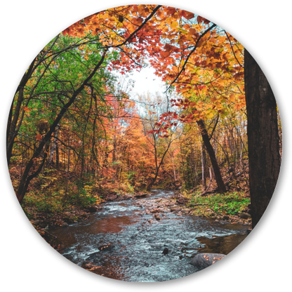 Autumn Forest Stream printed wooden painting - 12 inch