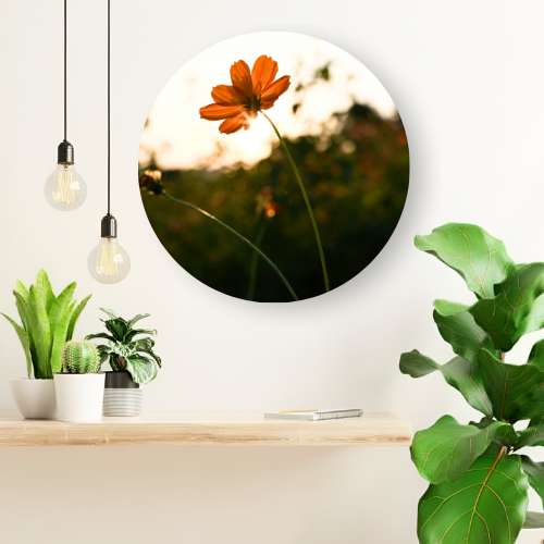 Under the Flower's Shade printed wooden painting - 12 inch