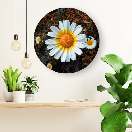 The Daisy printed wooden painting - 12 inch