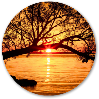 Sunset through the old tree printed wooden painting - 12 inch