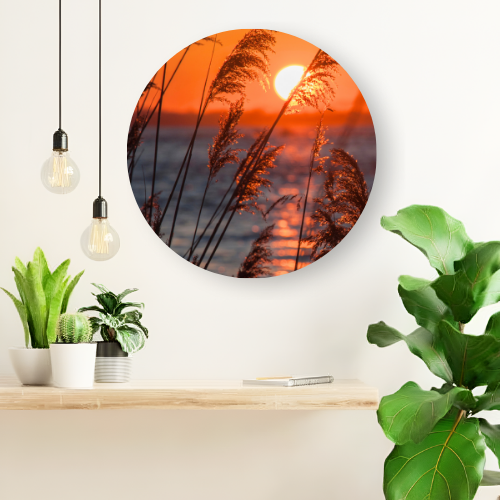 Sunset through Hay printed wooden painting - 12 inch