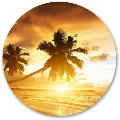 Sunset through Palms printed wooden painting - 12 inch