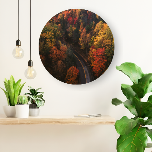 Road Via Hue Forest printed wooden painting - 12 inch