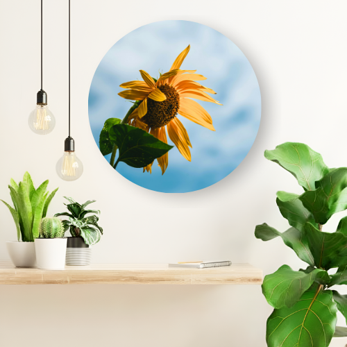 The Blooming Sunflower printed wooden painting - 12 inch