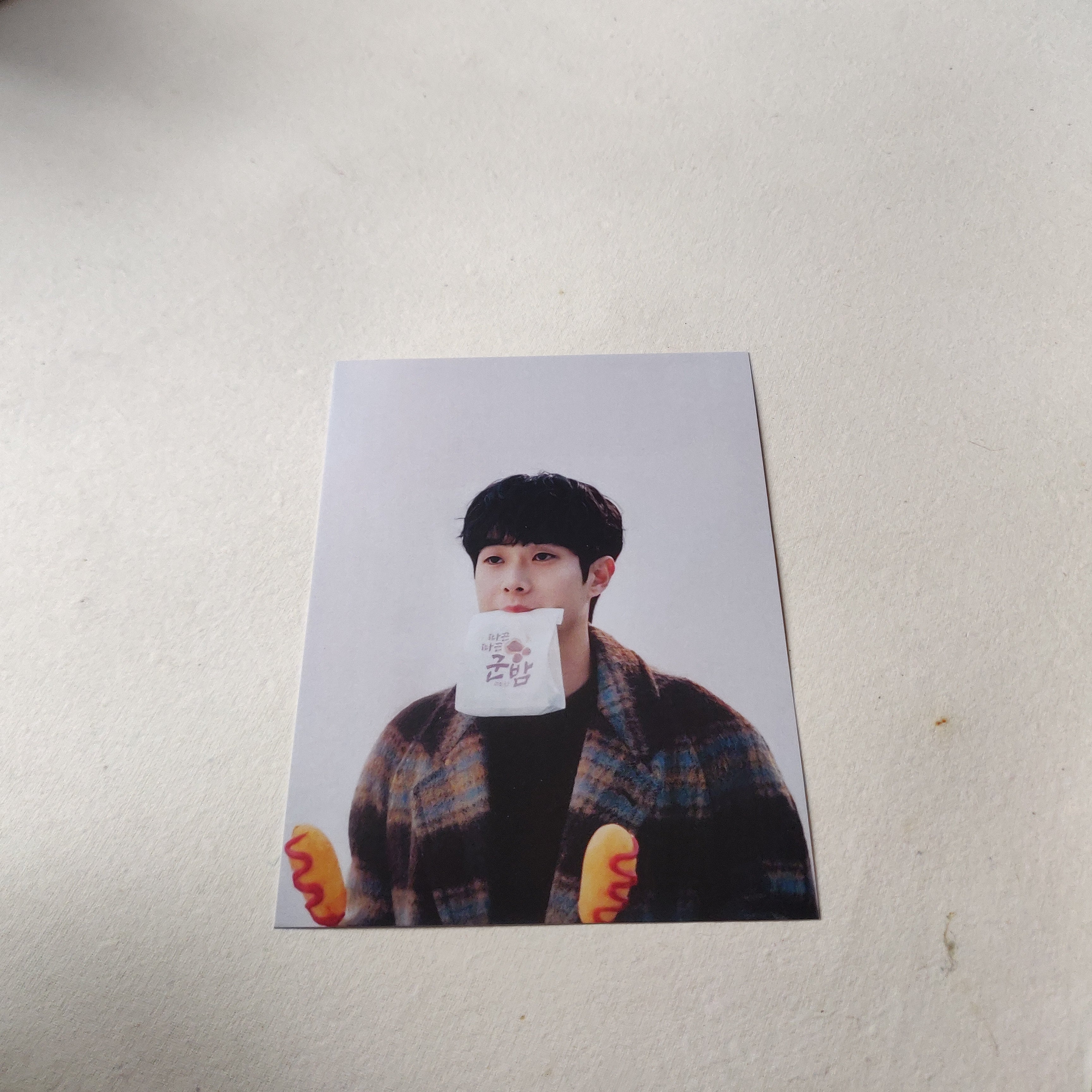 Choi wooshik wall poster | Combo of 2 A5 – Dipped in Doodles