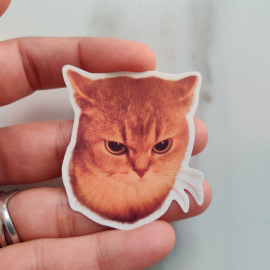 Angry Cat Meme die-cut sticker